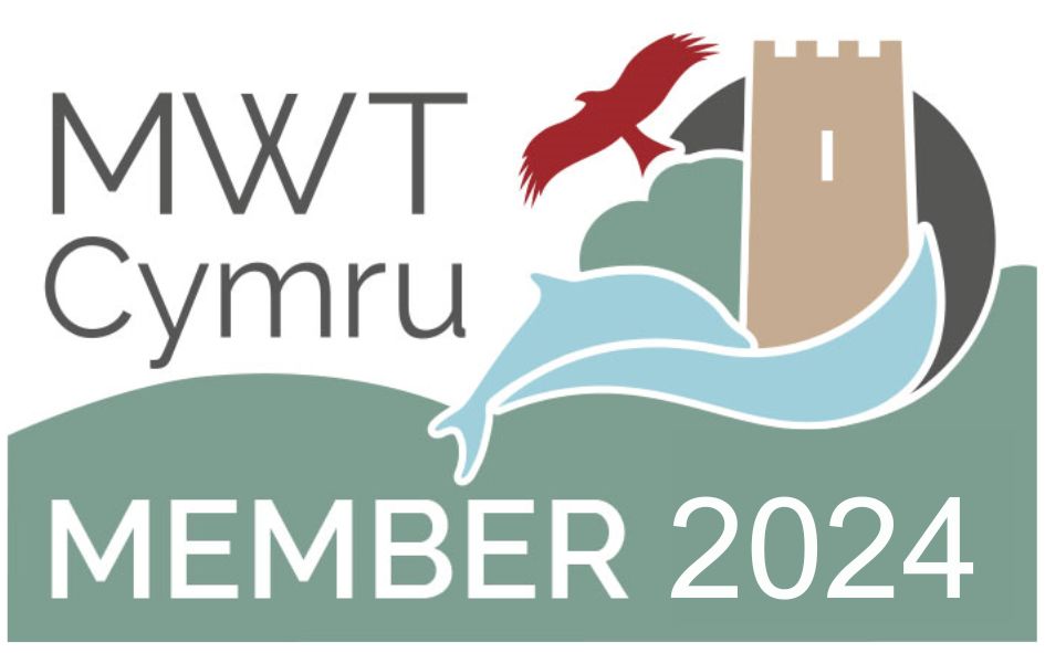 AA-Inn-of-the-Year-Wales-2024